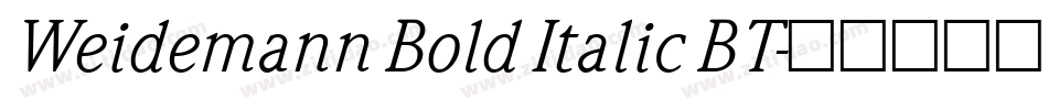 Weidemann Bold Italic BT字体转换